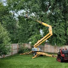 Best Tree Maintenance Programs  in Fort Belknap Agency, MT